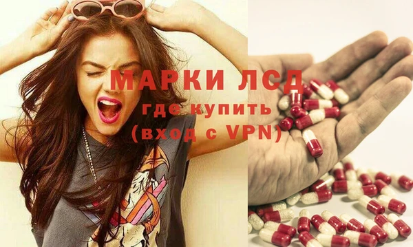 шишки Балахна
