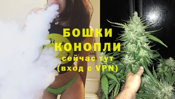 шишки Балахна