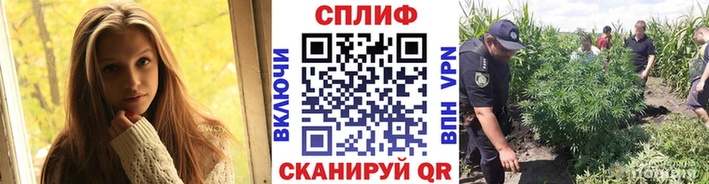 Конопля марихуана где можно купить наркотик Белово